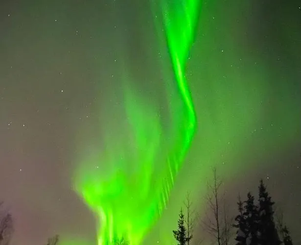 Lapin Paradise 샬레 *